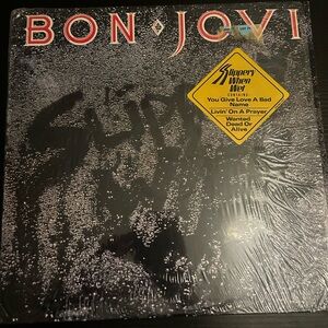 Bon Jovi Vinyl Record